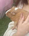 tinakitten Altpins Profile Picture