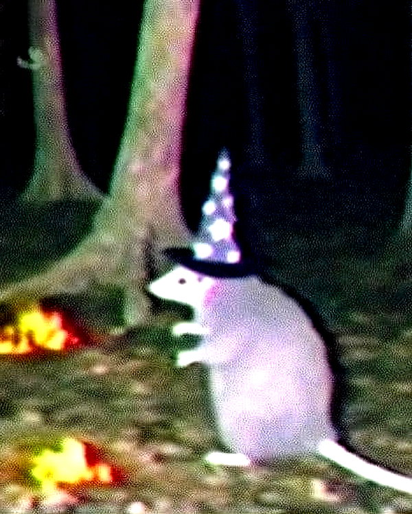 tinakitten tinakitten archive image