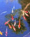 tinakitten Altpins Profile Picture