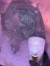 tinakitten Altpins Profile Picture