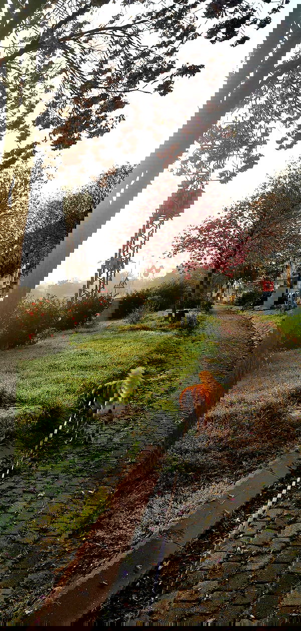 tinapavlov.sky tinapavlov.sky archive image