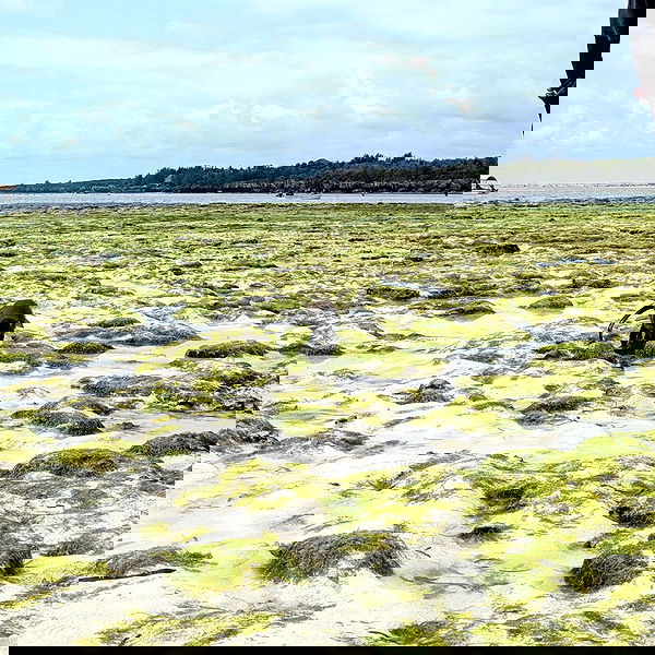 tinapavlov.sky tinapavlov.sky archive image