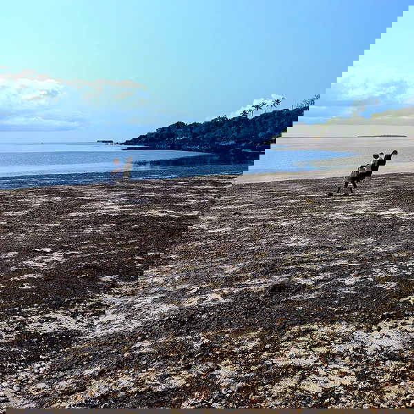 tinapavlov.sky tinapavlov.sky archive image