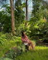 tingting_lai Altpins Profile Picture