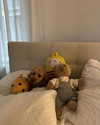 tingting_lai Altpins Profile Picture