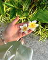 tingting_lai Altpins Profile Picture