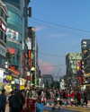 tingting_lai Altpins Profile Picture