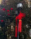 tingting_lai Altpins Profile Picture