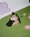 tingting_lai Altpins Profile Picture