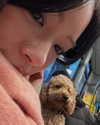 tingting_lai Altpins Profile Picture