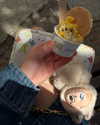 tingting_lai Altpins Profile Picture