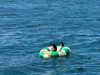 tingting_lai Altpins Profile Picture