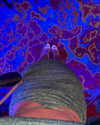 tohar.harosh Altpins Profile Picture