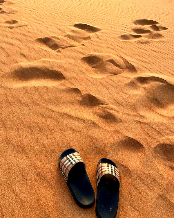 tohar.harosh instagram image archive image