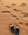tohar.harosh Altpins Profile Picture