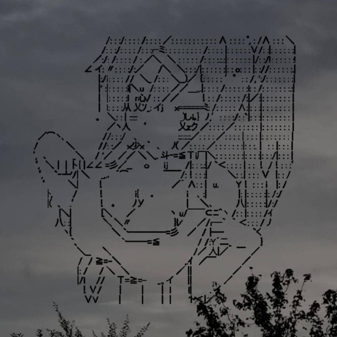 toriawashere instagram image archive image