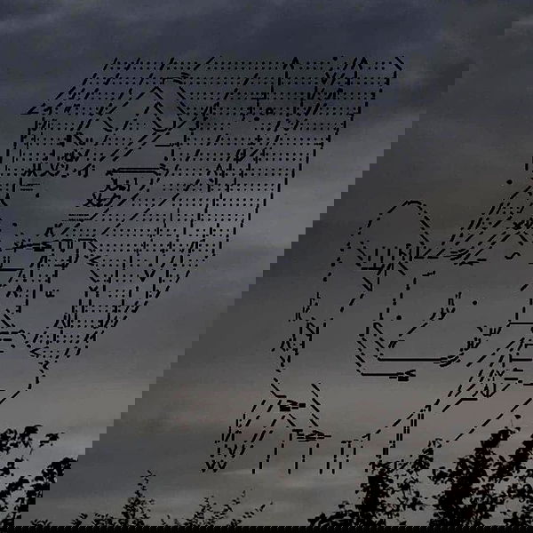 toriawashere image ~ Altpins