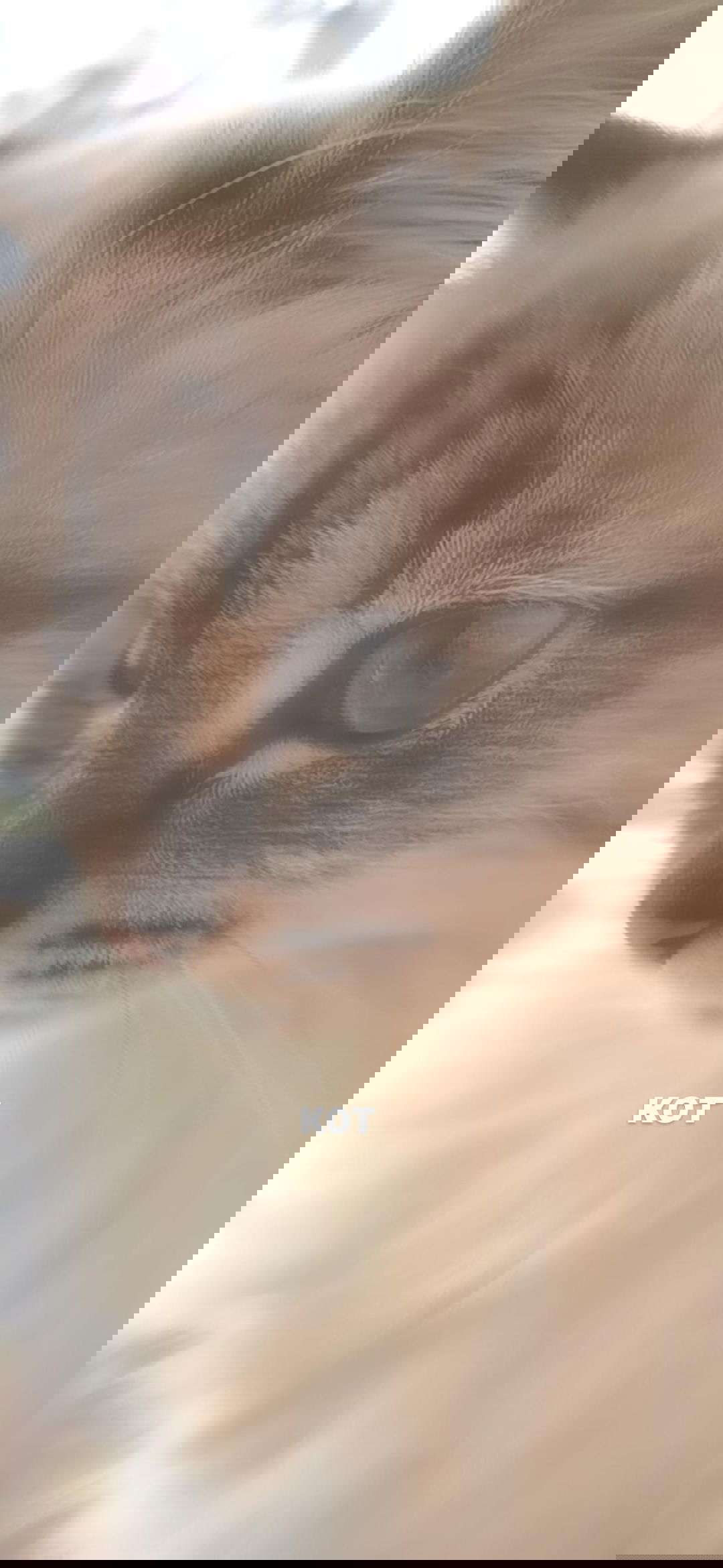 toriawashere instagram image archive image