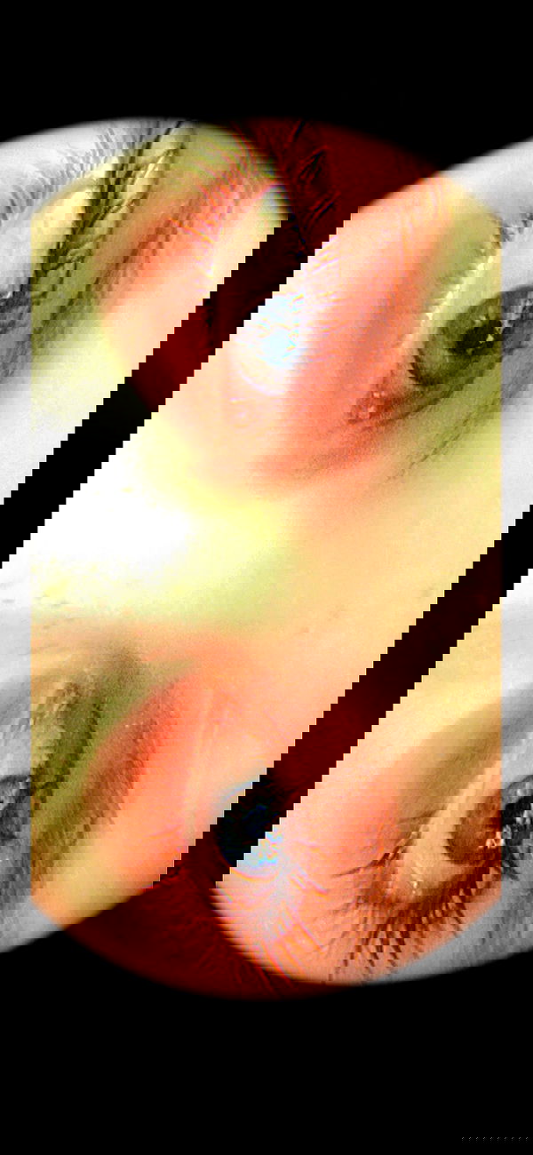 toriawashere image ~ Altpins