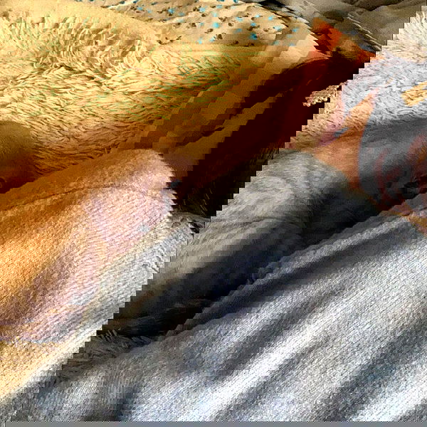 toriawashere image ~ Altpins