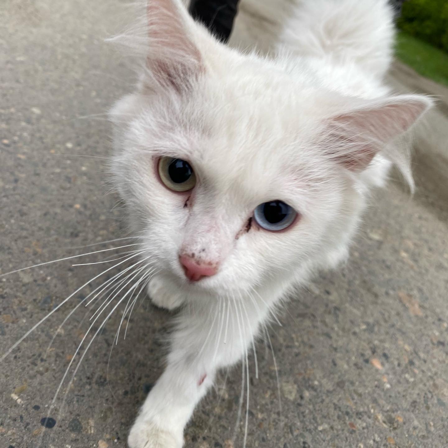 toriawashere instagram image archive image