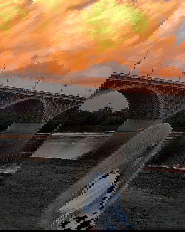 toriawashere image ~ Altpins