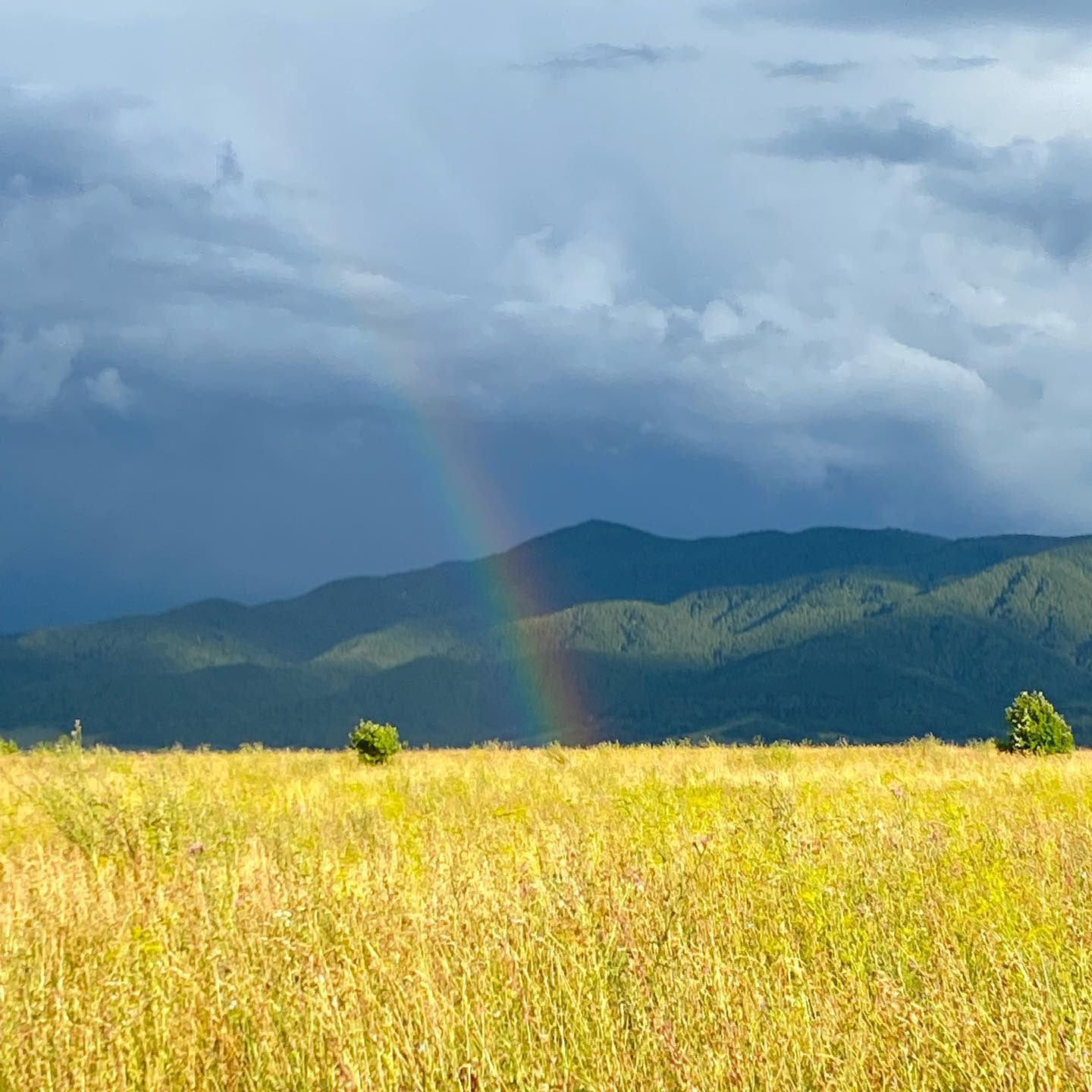 toriawashere instagram image archive image