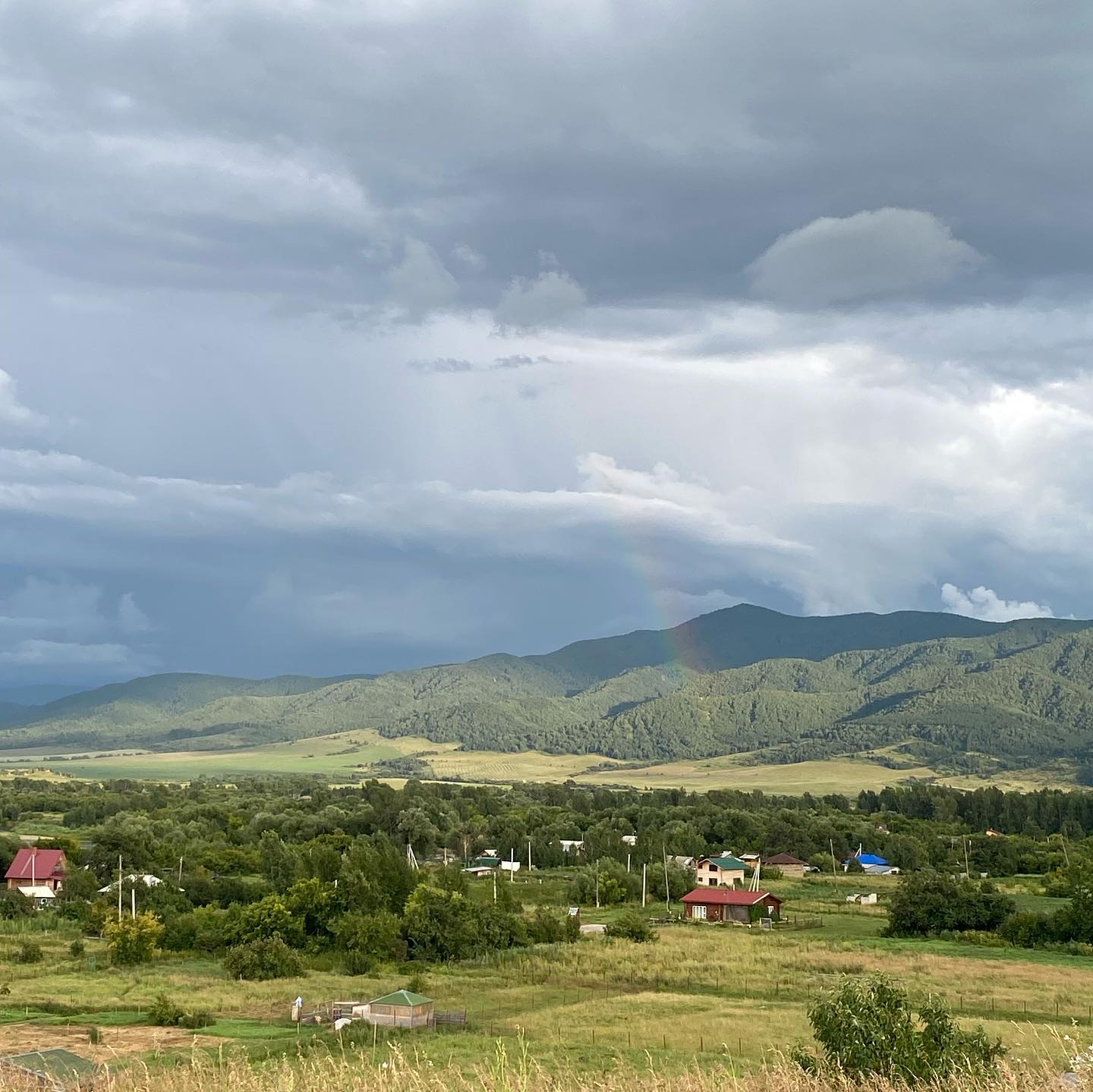 toriawashere instagram image archive image