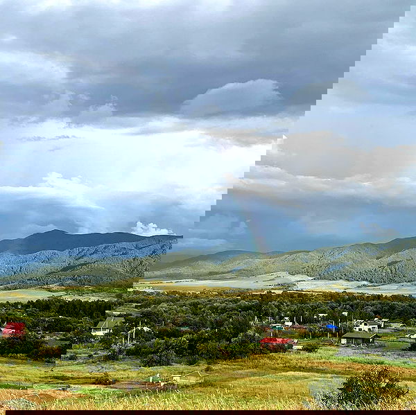 toriawashere image ~ Altpins