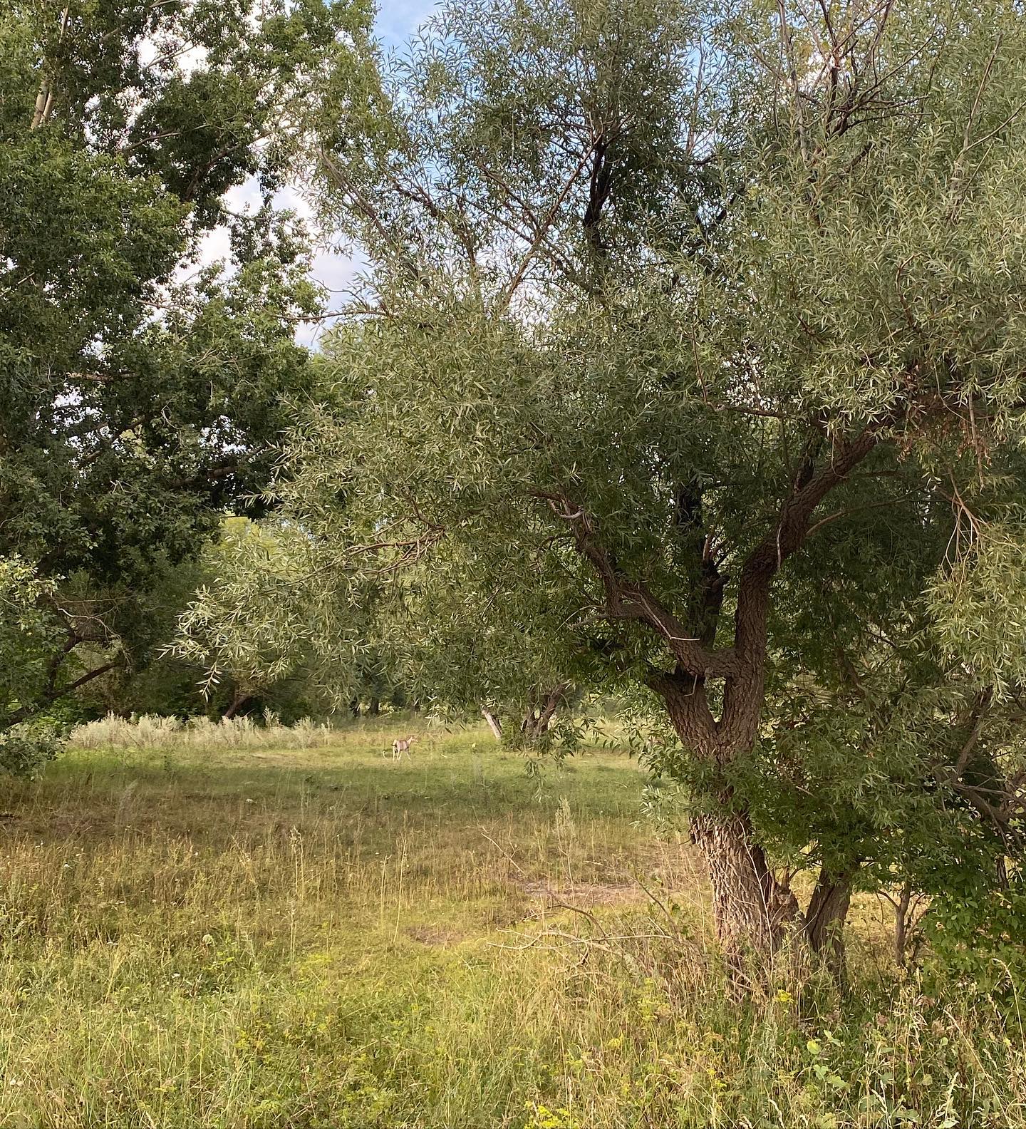 toriawashere instagram image archive image