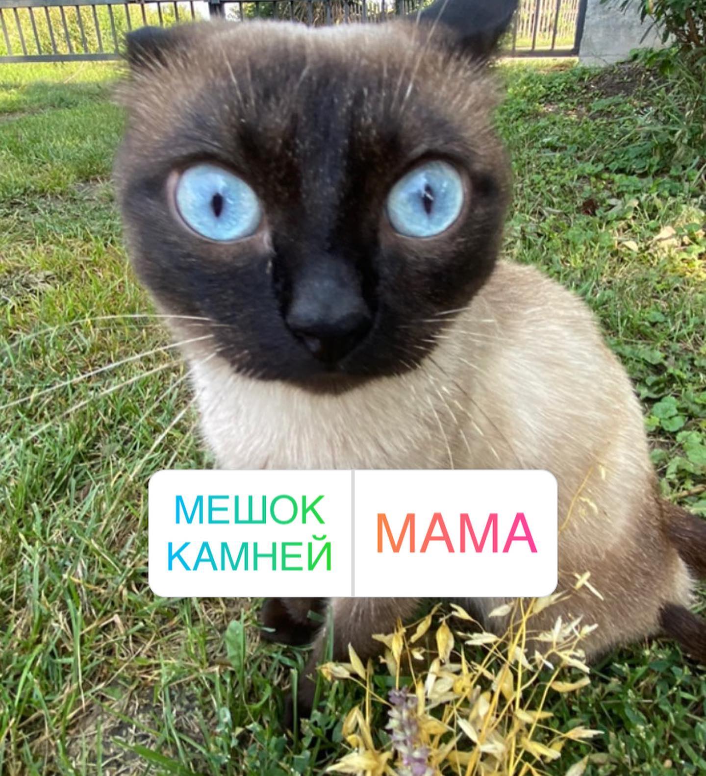 toriawashere instagram image archive image