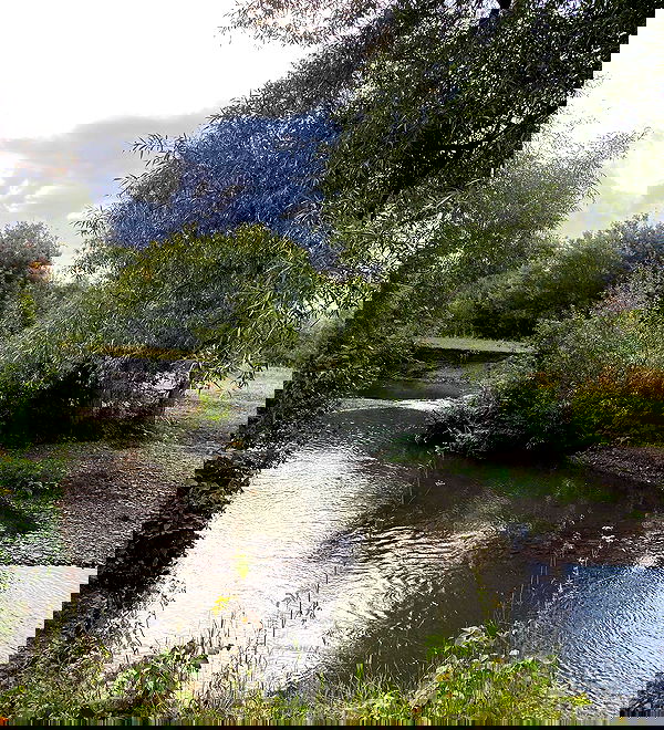 toriawashere image ~ Altpins