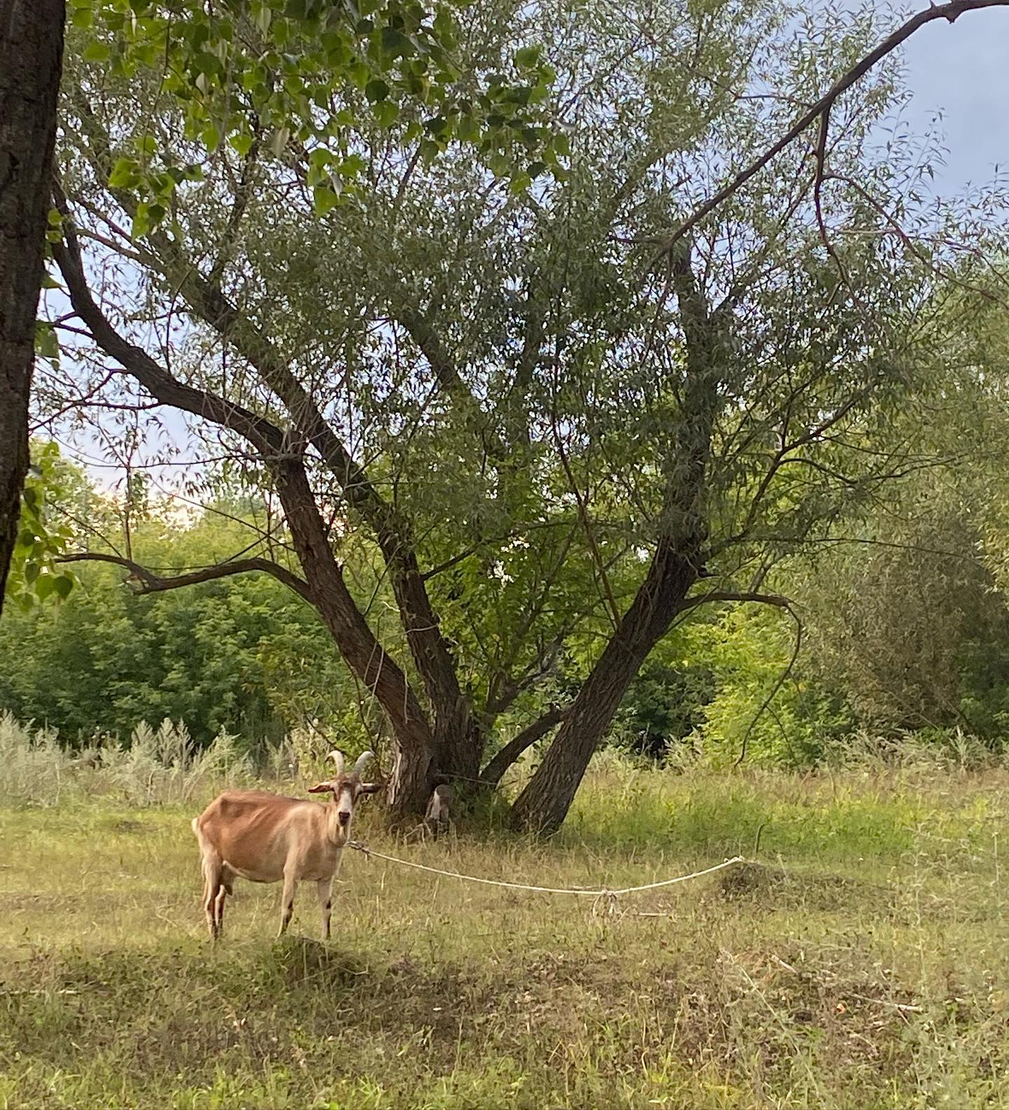 toriawashere instagram image archive image