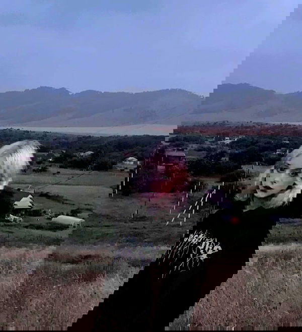 toriawashere image ~ Altpins