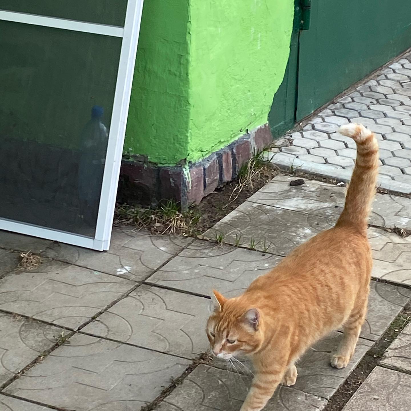 toriawashere instagram image archive image