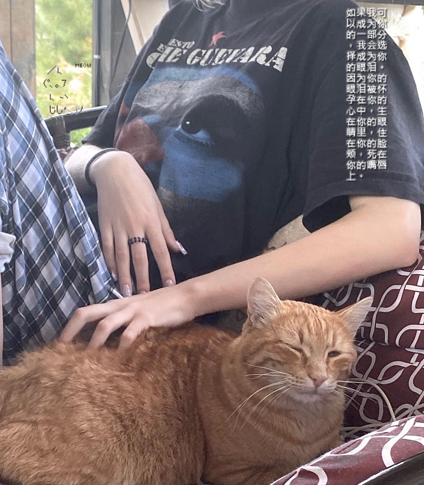 toriawashere instagram image archive image