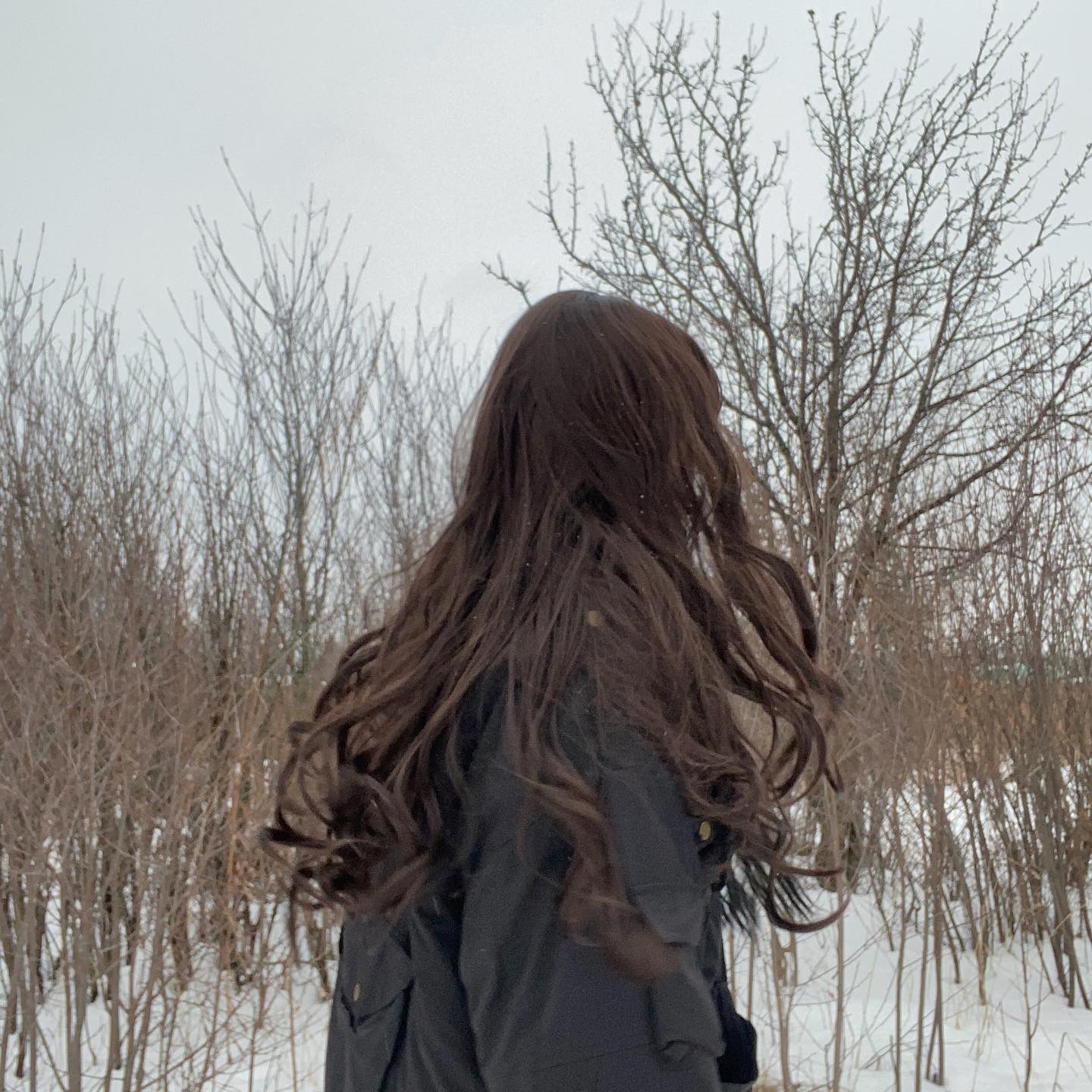 toriawashere instagram image archive image