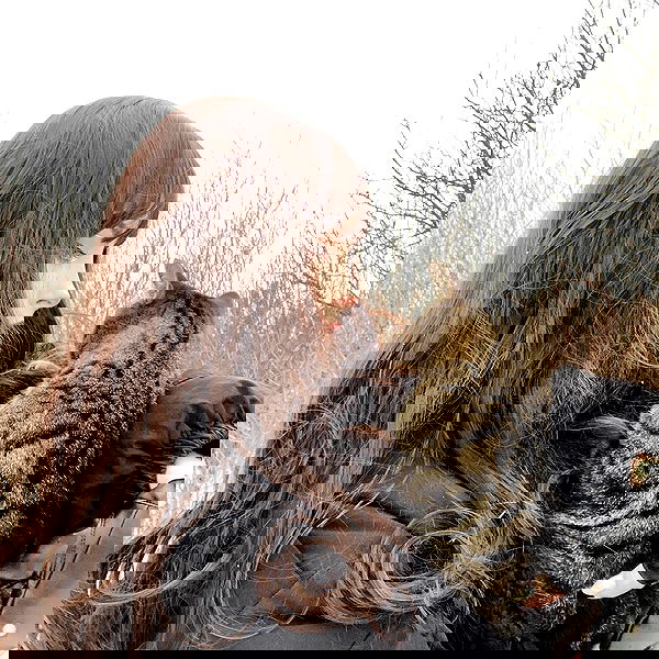 toriawashere image ~ Altpins