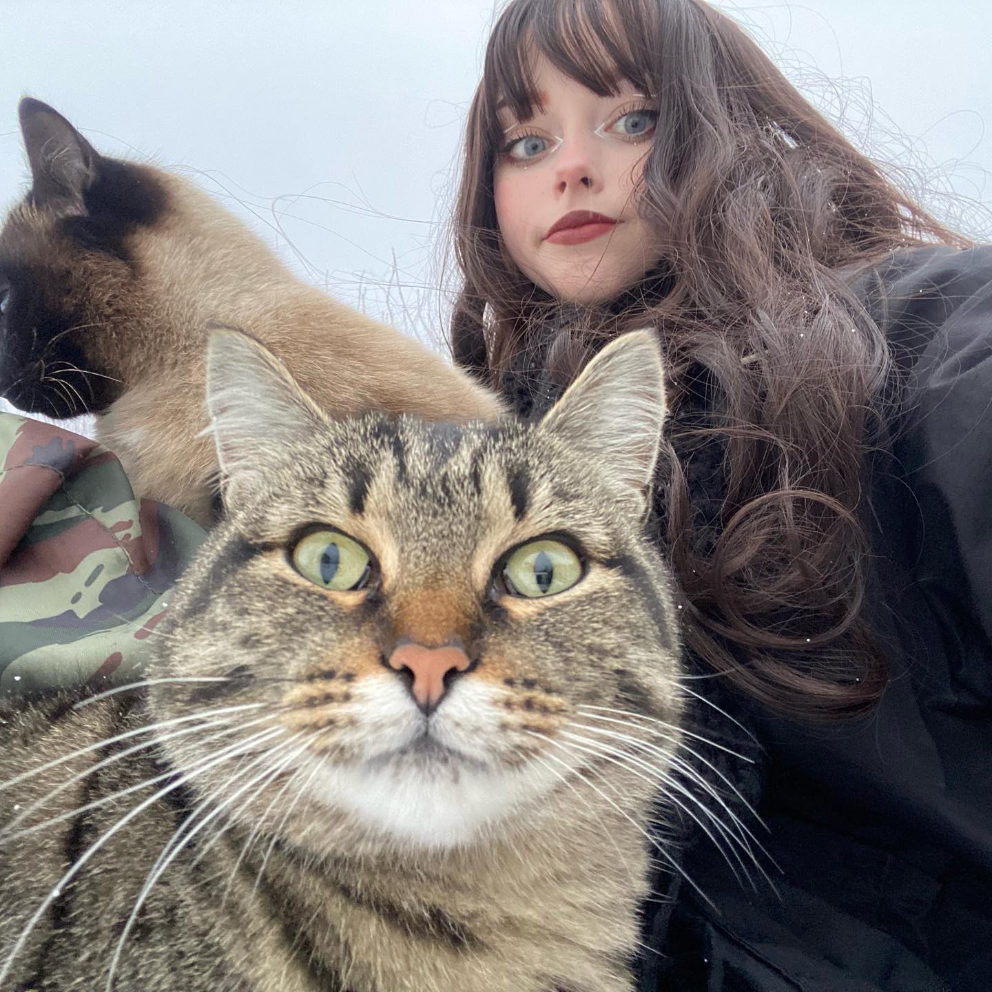 toriawashere instagram image archive image