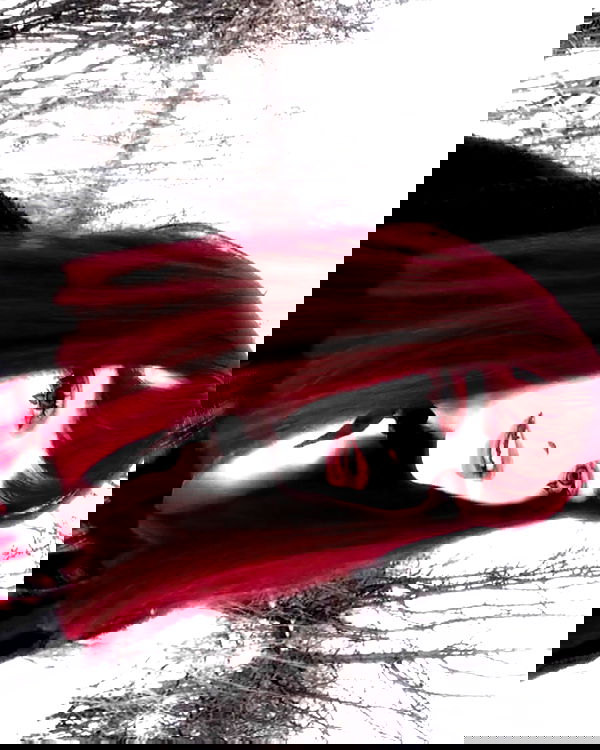 toriawashere image ~ Altpins