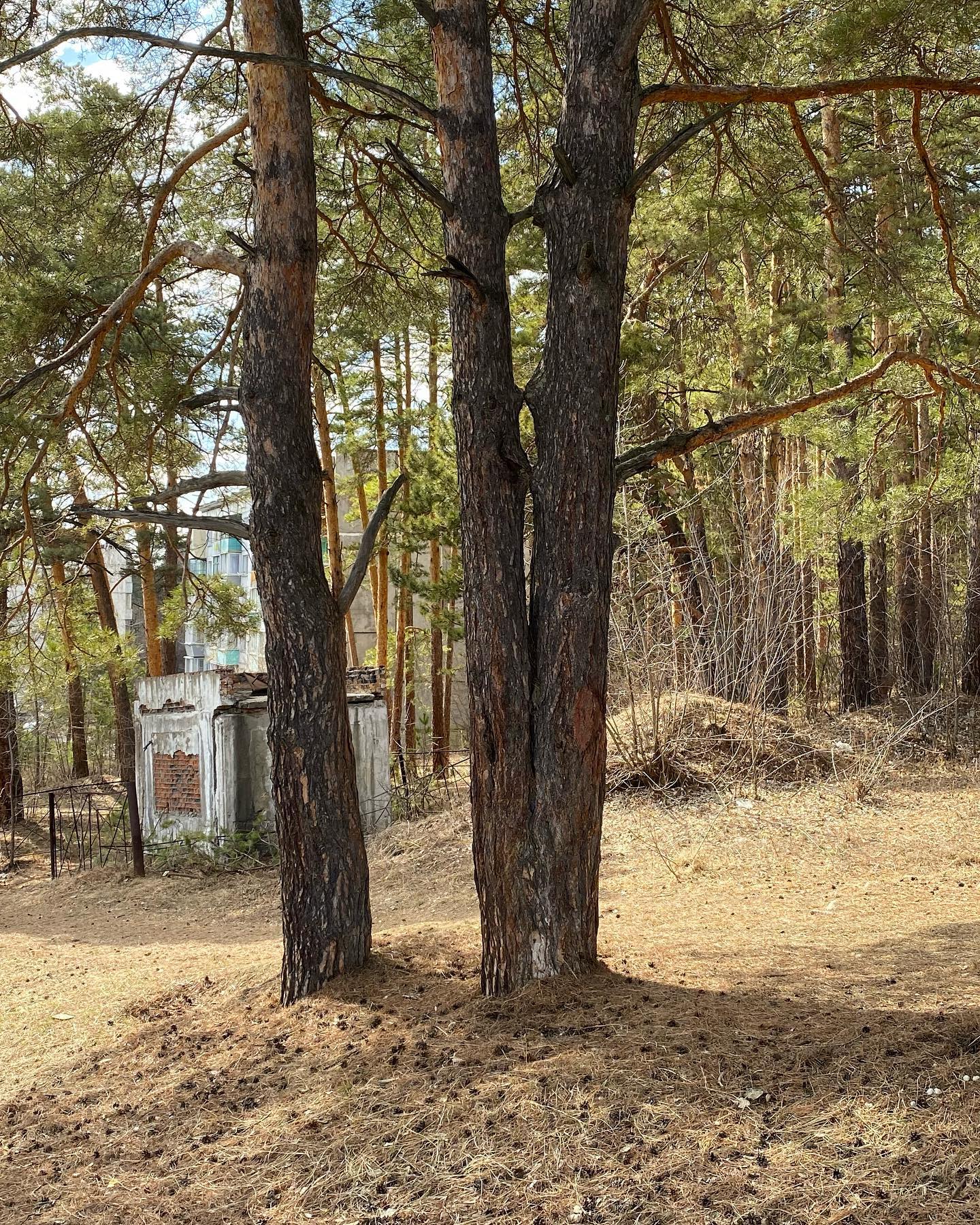 toriawashere instagram image archive image