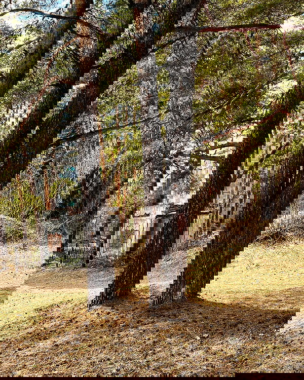 toriawashere image ~ Altpins