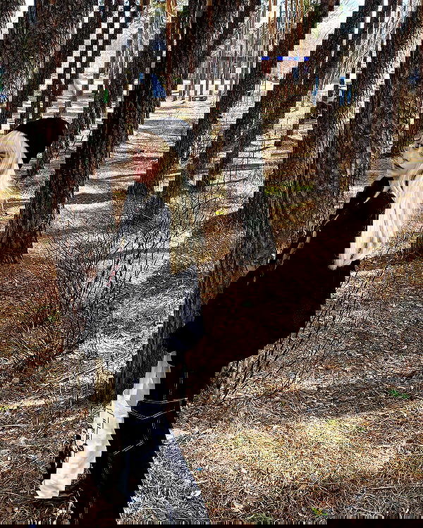 toriawashere image ~ Altpins