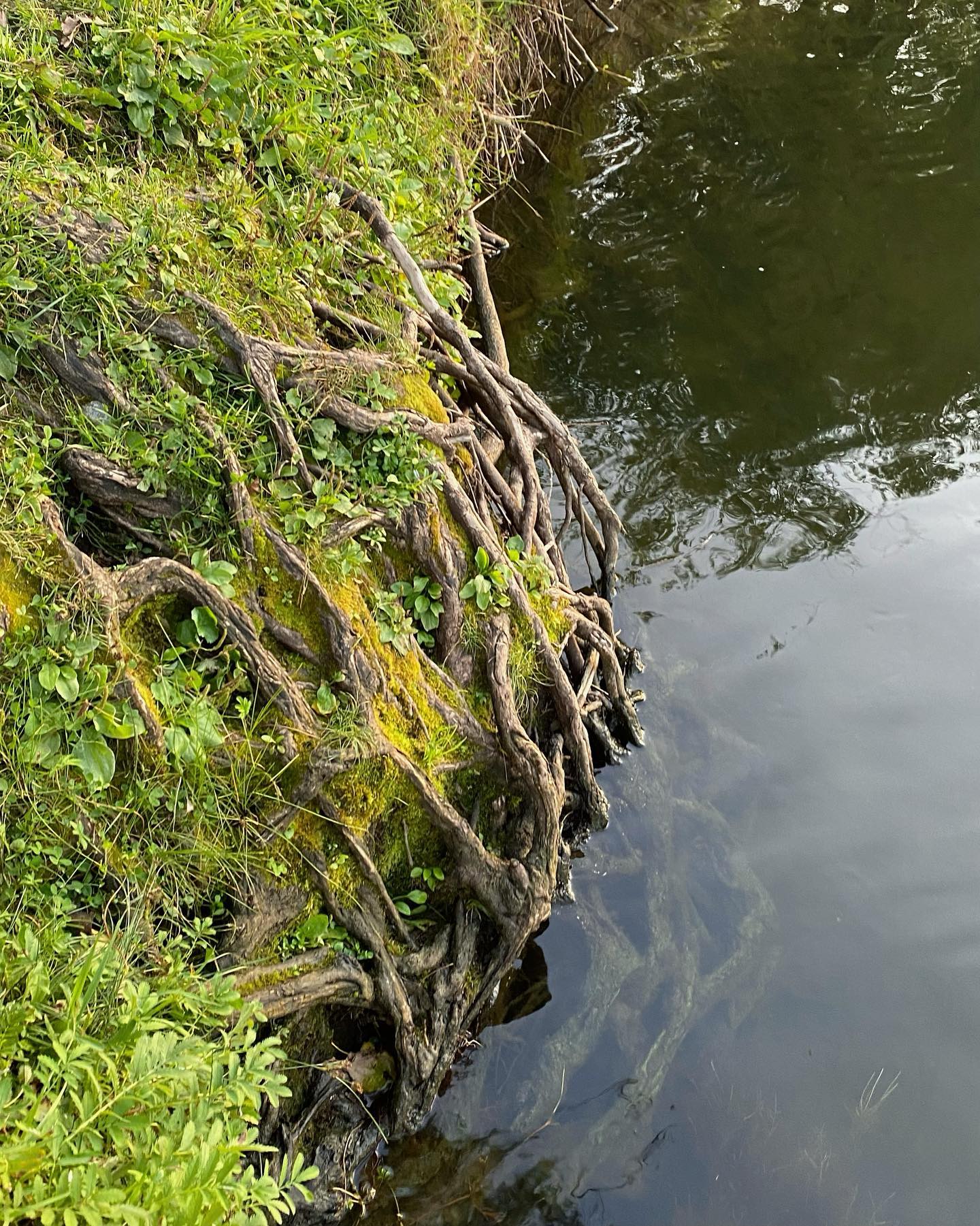 toriawashere instagram image archive image