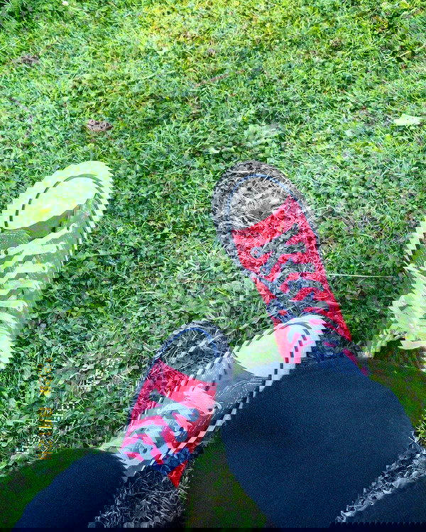 toriawashere image ~ Altpins