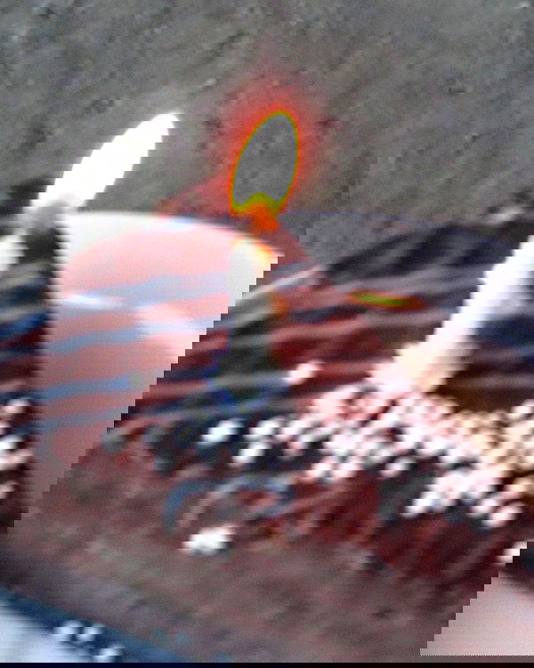 toriawashere image ~ Altpins