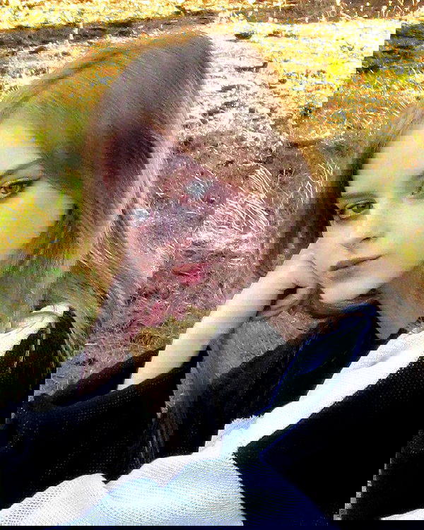 toriawashere image ~ Altpins