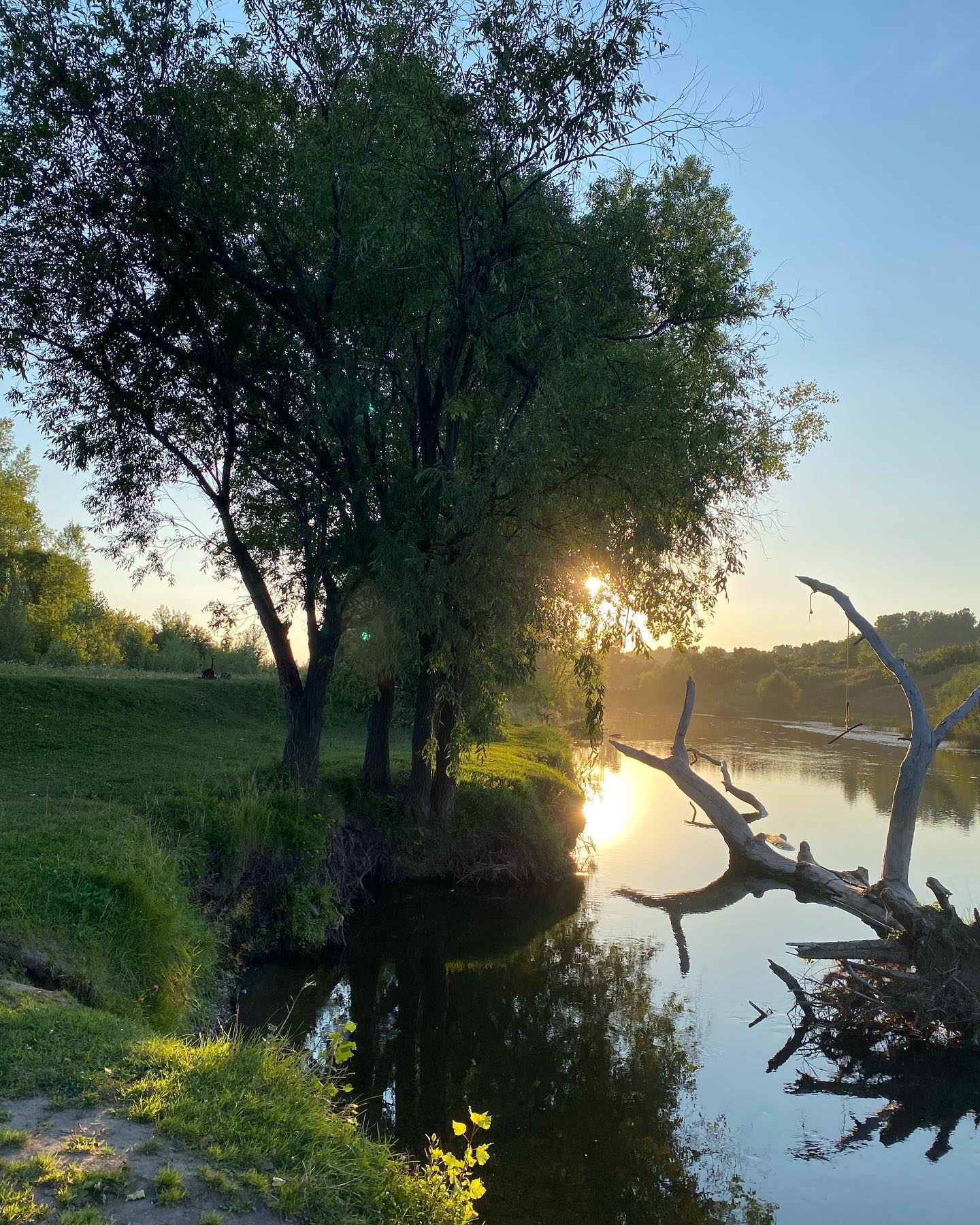 toriawashere instagram image archive image