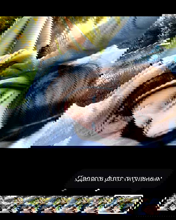 toriawashere image ~ Altpins