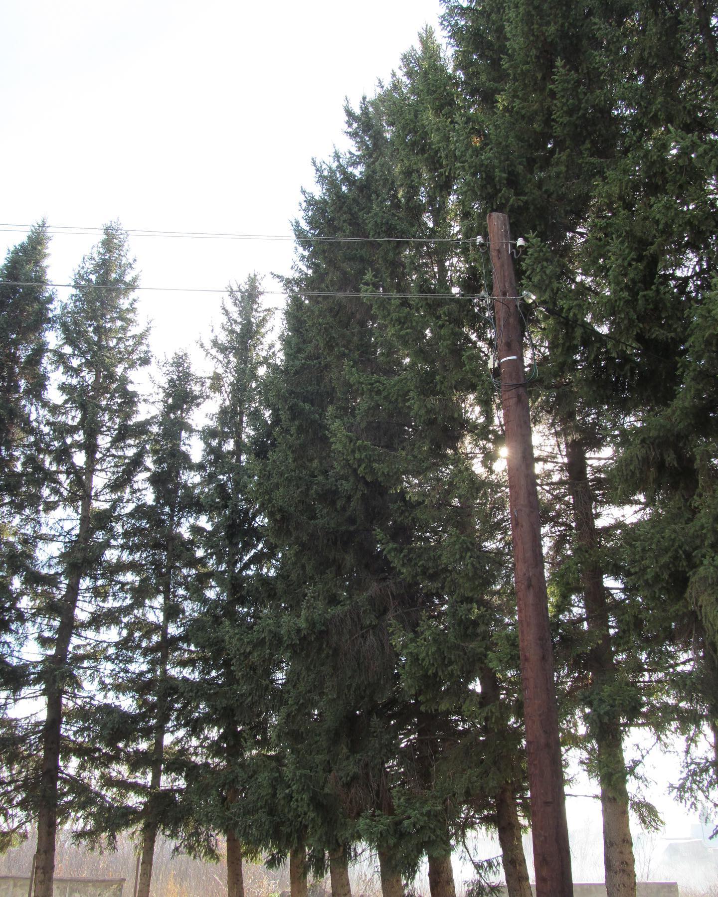 toriawashere instagram image archive image